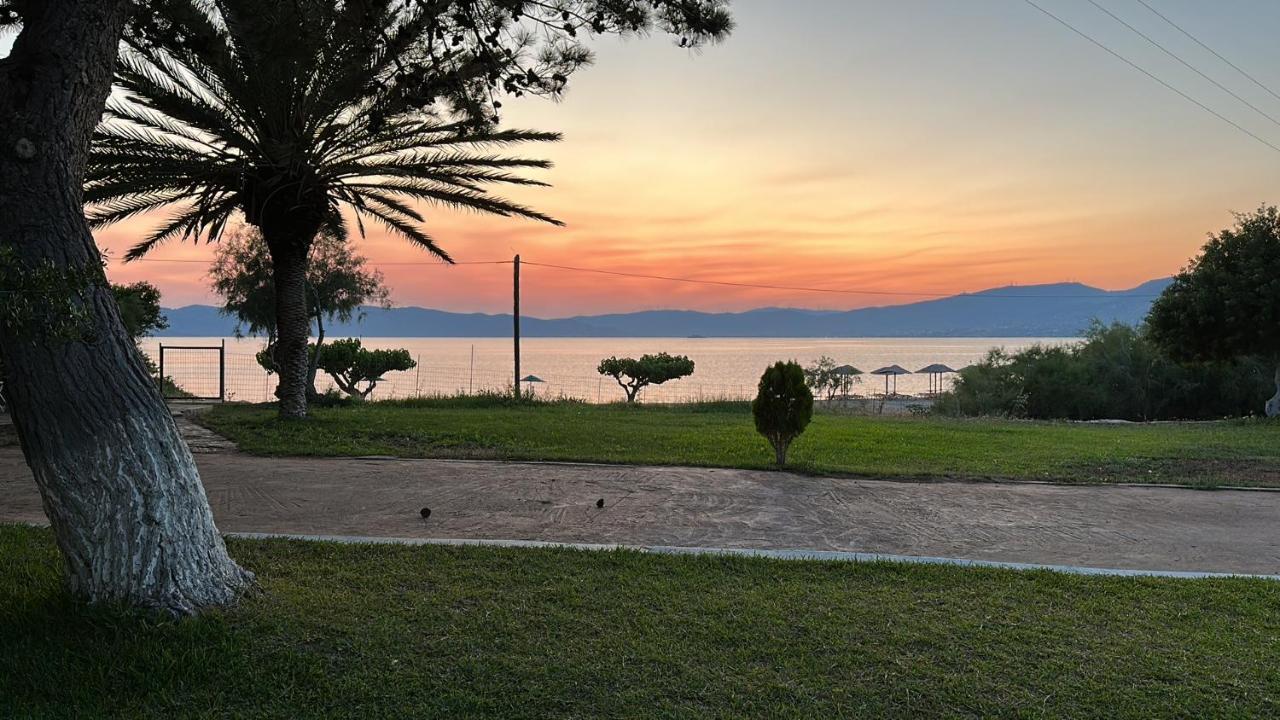 カリストス Bouros Seaview Farmヴィラ エクステリア 写真